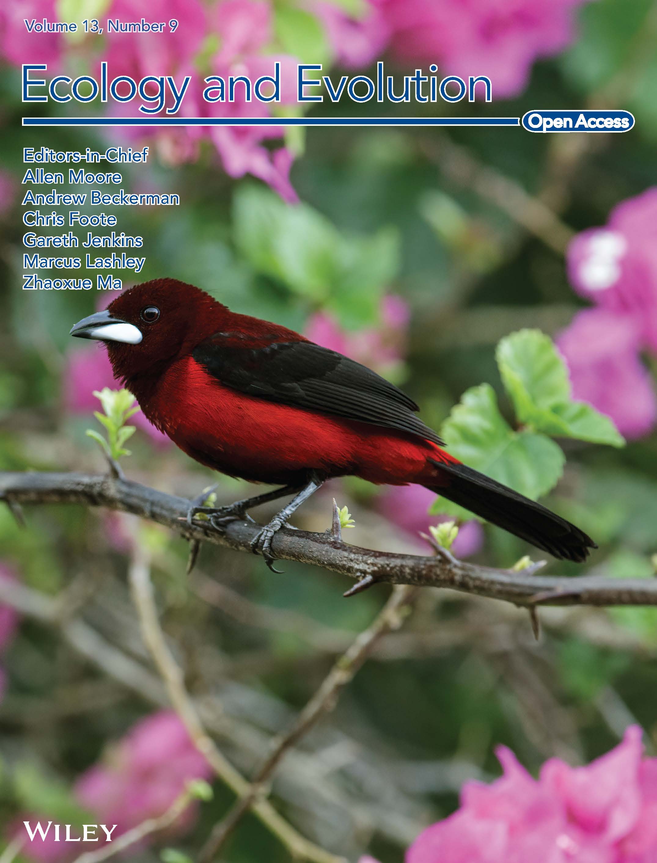 Cover photo of tanager with carotenoid pigments