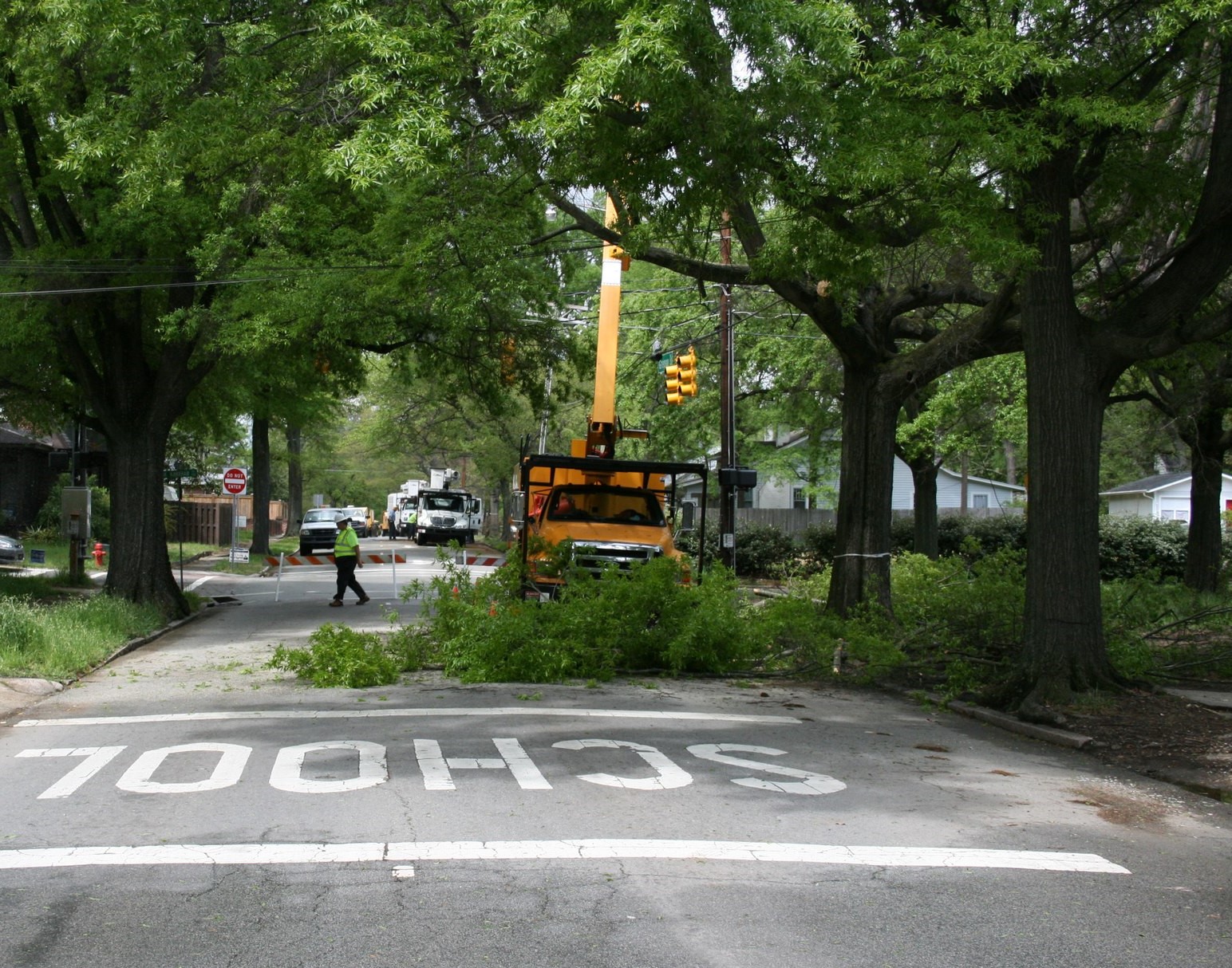 city tree trimming in Durham, NC